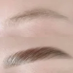 Hybrid vs Regular Brow Tint