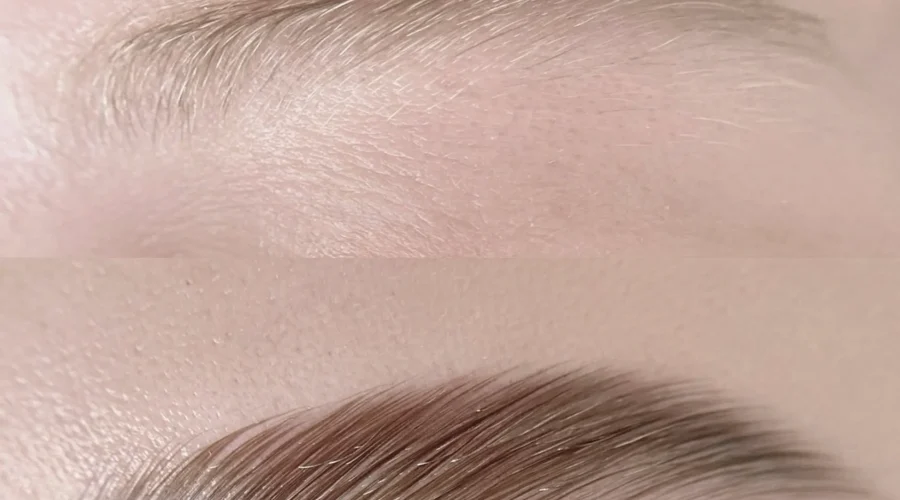 Hybrid vs Regular Brow Tint