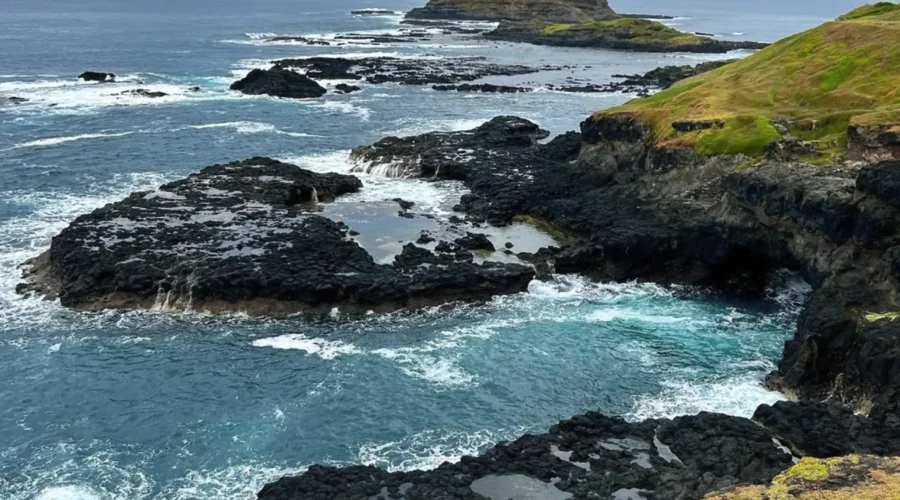 Phillip Island Travel Guide