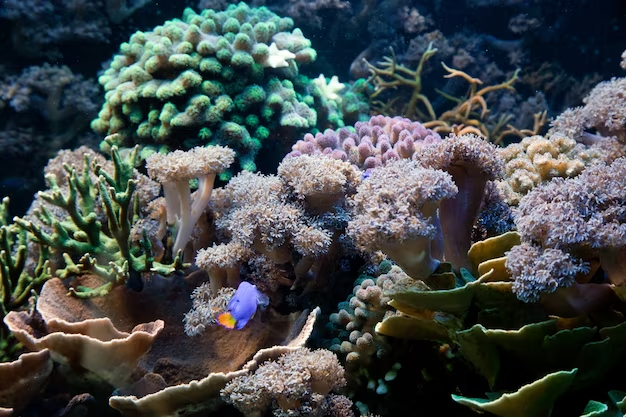best aquarium in the world