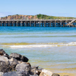 camping in coffs harbour