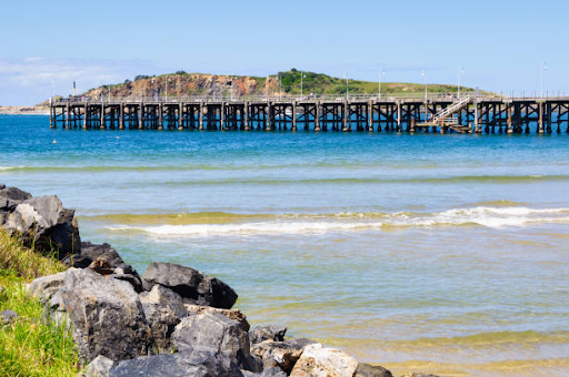camping in coffs harbour